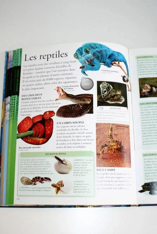 De Grote Encyclopedie van Gallimard Jeunesse – photo 8